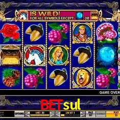 betsul Rio de Janeiro - Bonus Terms